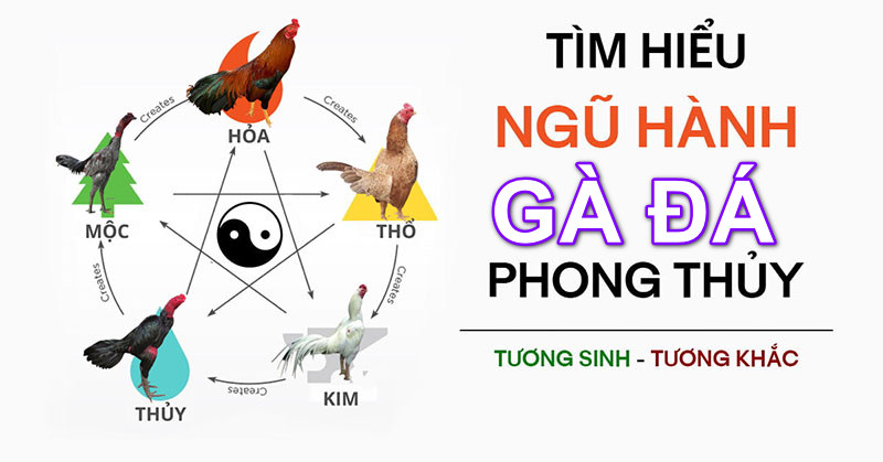 Màu lông thể hiện rõ màu mạng theo ngũ hành